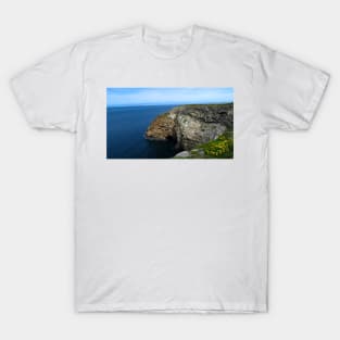 Channel Island National Park Santa Cruz Island T-Shirt